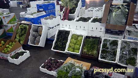 Sydney Markets and Specialty Shops Tour