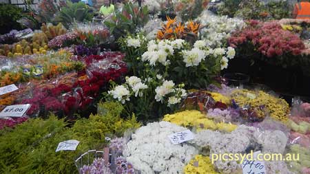 Sydney Markets and Specialty Shops Tour